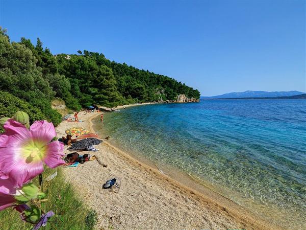 Živogošće Blato plaža Dole